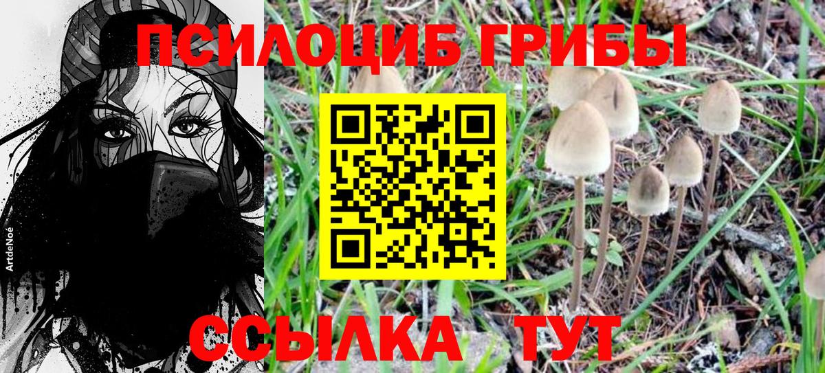 Галлюциногенные грибы Cubensis Великие Луки
